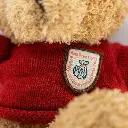 muffin bear- red sweater zoom.webp